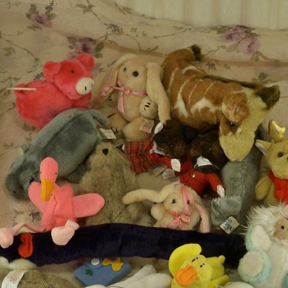Small* Assorted Stuffed Animals Over 20 - Picture 6 of 6